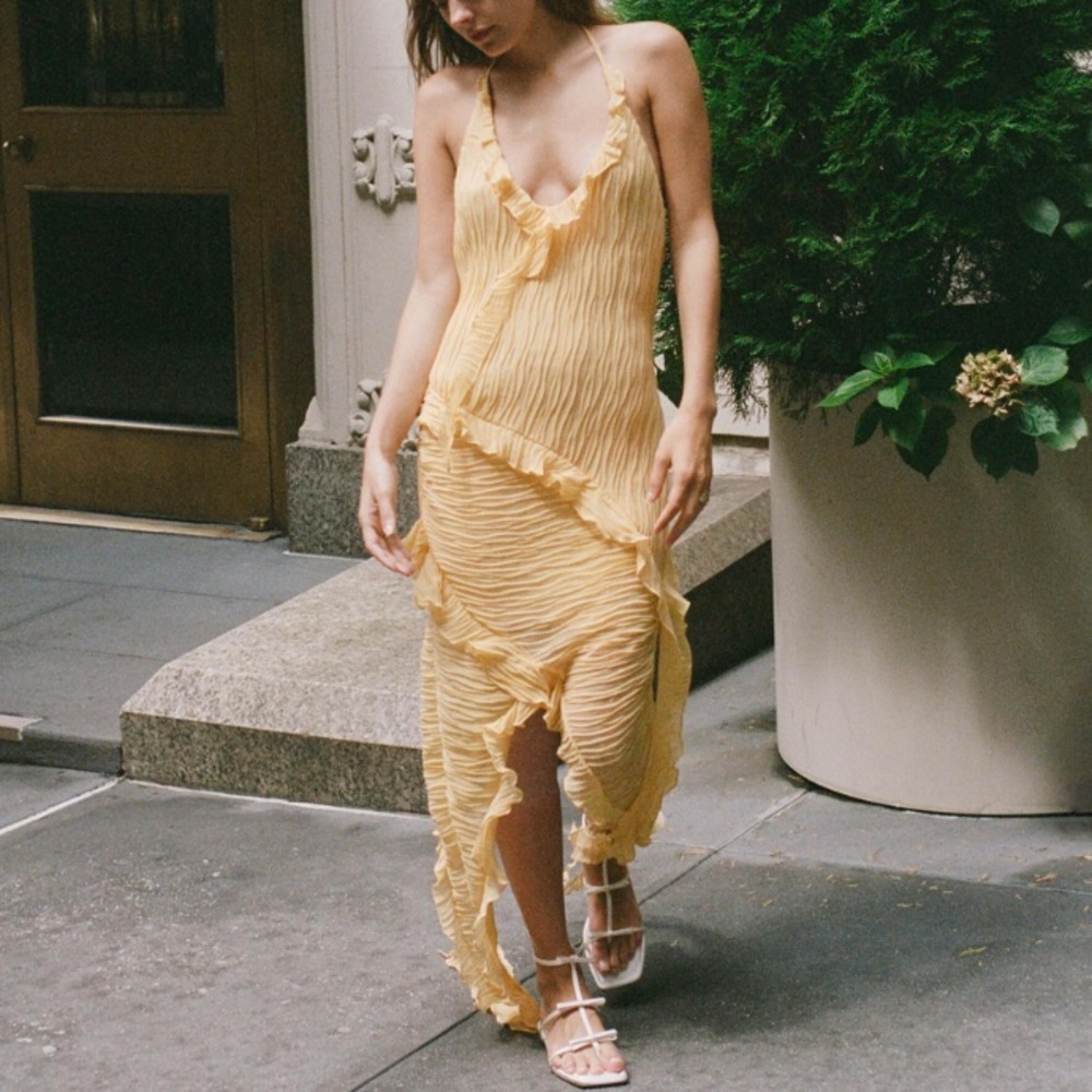NWT Zara ruffle pleated long midi halter dress